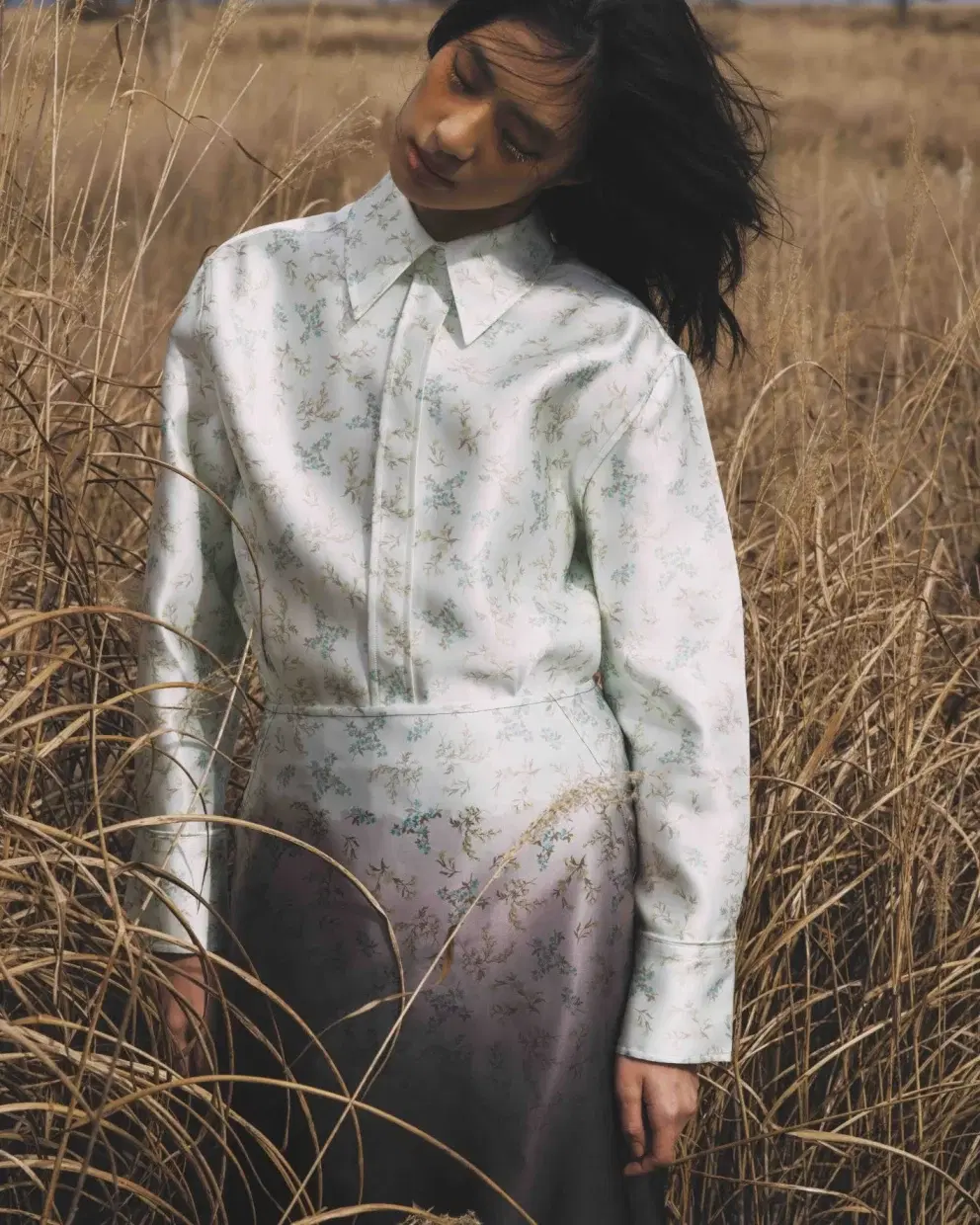 冬、枯野を愛でる