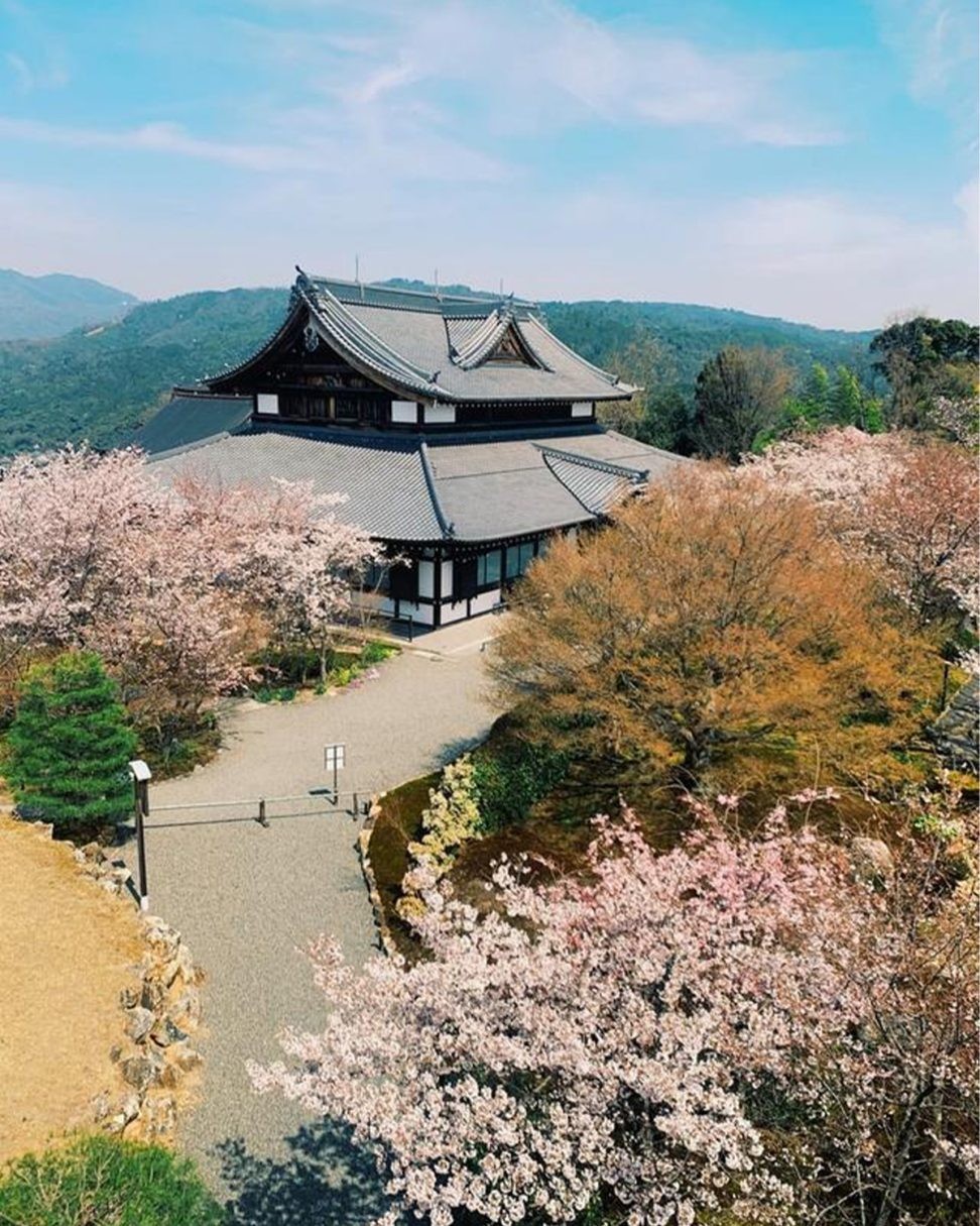 ライターYの京都通信