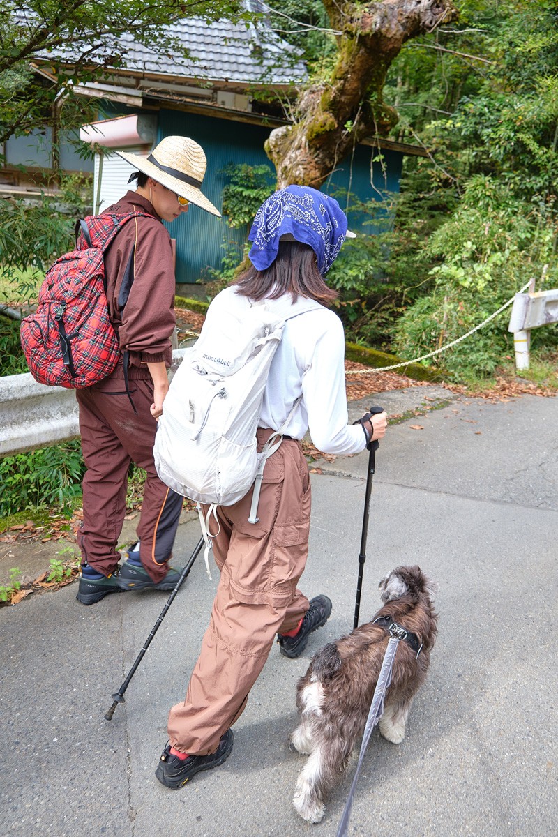 ASAMI THE MOUNTAIN｜臼田あさ美｜のせりん - Slide:2