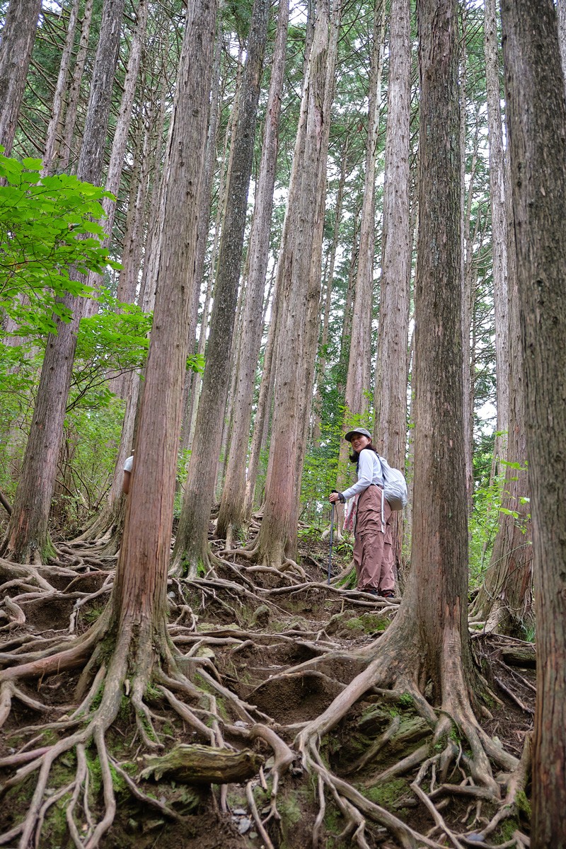 ASAMI THE MOUNTAIN｜臼田あさ美｜のせりん
