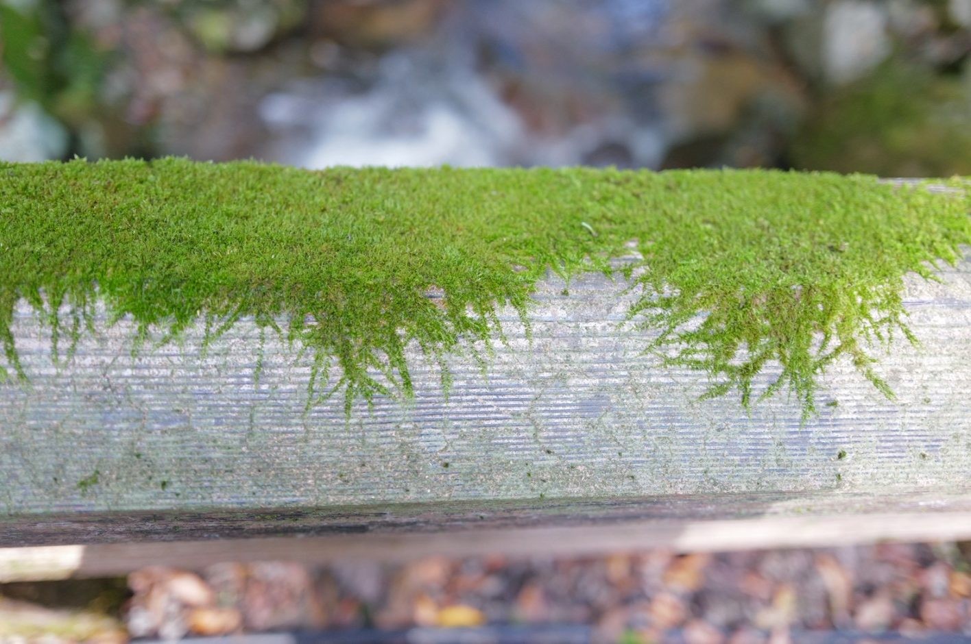 綾瀬はるか「はるにっき」vol.12 - Slide:2