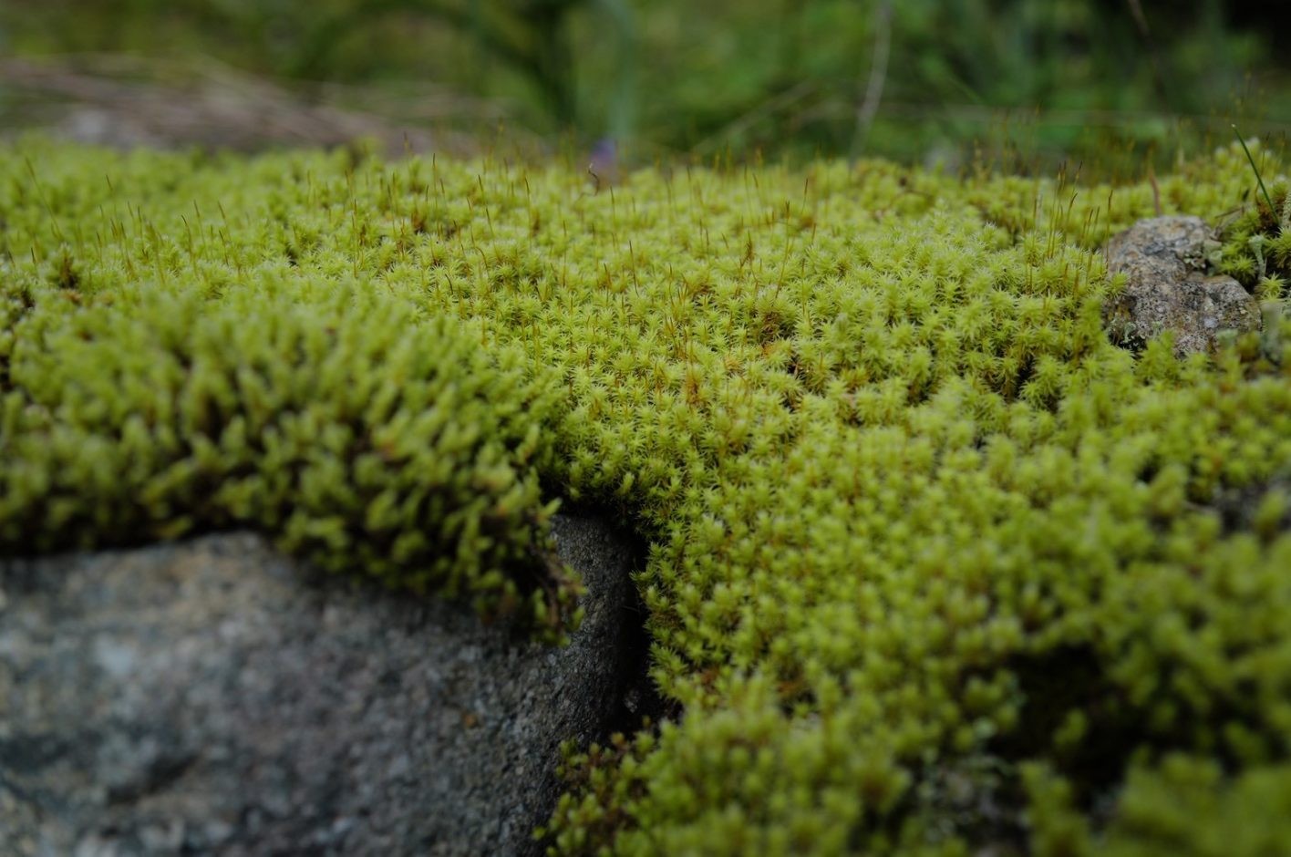 綾瀬はるか「はるにっき」vol.12 - Slide:3